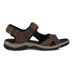 Ecco Sandal Brun Herre 1